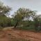 Hoedspruit Bush Cottage