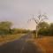 Hoedspruit Bush Cottage