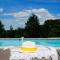 Wonderful house in Périgord , heated pool - Bourrou