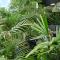 Vista unit Close to the City & Airport & Train station and Brighton Le Sands Beach