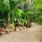 Vida Boho Apart 12 with special fee to access Hotel Bardo - 图卢姆