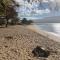 This place is different!! Award winning! Oceanfront, View View! - Wailuku