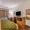 Wingate by Wyndham New Castle - Glenwood Springs - New Castle