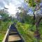 CED Garden