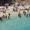 Sardegna Stupenda N 01