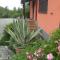 Villa with Pool near 5Terre Firefly - Quaratica