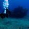 Arab Divers Dive Center and Bed & Breakfast