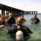 Foto: Arab Divers Dive Center and Bed & Breakfast 42/68