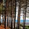 Charmant Studio Cabine avec Grande Terrasse et Proximité Plage à Arcachon - FR-1-420-125 - 阿卡雄