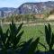 Home delite Il Vitigno
