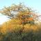 Romantic Hot Tub Retreat - Ndlovu 33 Tiny Home, Big 5 reserve