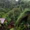 Lucky BambooBungalows-Resto and Orangutan Jungle Trekking Tours