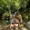 Lucky Bamboo'Bungalows-Resto and Orangutan Jungle Trekking Tours - 武吉拉旺