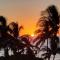 Island Surf 601A