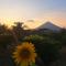 Hostel Santa Cruz Ometepe