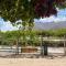 Glamping Viñas de Elqui