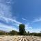 Glamping Viñas de Elqui