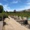 Glamping Viñas de Elqui