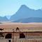 Shakria Bedouin Life Camp
