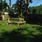 Areca Palms