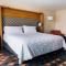 Holiday Inn & Suites Phoenix-Mesa-Chandler, an IHG Hotel - Mesa