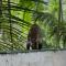 Chavez Eco Beach Camping and Cabañas