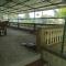 Homely Homestay