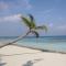 Boutique Beach All Inclusive Diving Hotel - Dhigurah