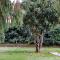 Aurelia Antica Terrace Apt free pool and parking - Rzym