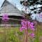 Chalet Korosica Velika Planina