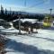 Magical Views at Southpoint Big White! Best Location!