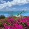 Ocean Front studio , step to the beach