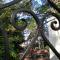 Foto: Durack House Bed and Breakfast 7/42