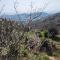 Detached house with garden and sea view