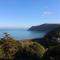 Chalet Log Cabin L3 - Ilfracombe