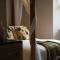 Stylish Sea View Apartment - Torquay