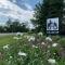 Wild Pines Cabins Wild Pines Cabins