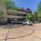 White Pine -- 1204