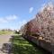 Nursery Cottage - Louth