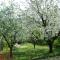 Holiday home in Budapest 34304