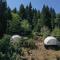 Ajara Glamping Kokotauri