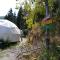 Ajara Glamping Kokotauri