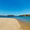 Salty Shores