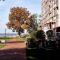 Lieblingsplatz Apartement am Steinhuder Meer