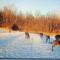 75 Acre home with trails & outdoor fun tons of Wildlife