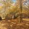 75 Acre home with trails & outdoor fun tons of Wildlife