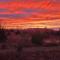 75 Acre home with trails & outdoor fun tons of Wildlife