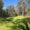 Bear Paw Cabin new construction near Yosemite - Mariposa