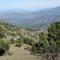 Himalaya View