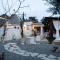 Trulli Magnolia